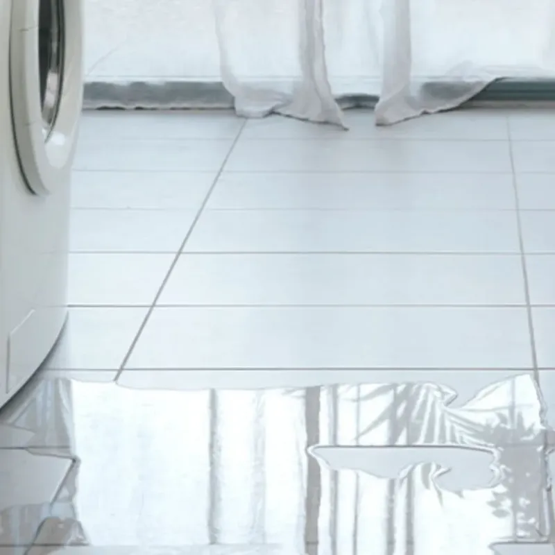 Appliance Leak Cleanup in Washburn, IL