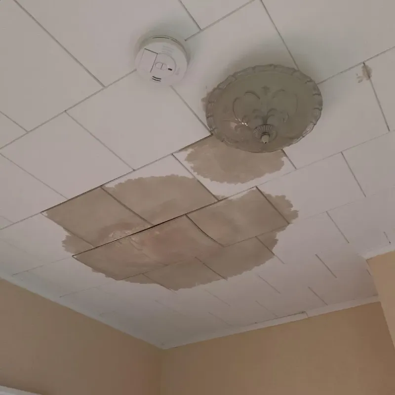 Ceiling Water Damage Repair in Washburn, IL