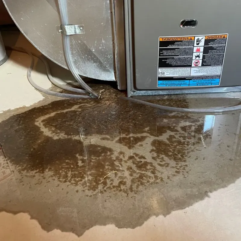 Pipe Burst and Leak Restoration in Washburn, IL