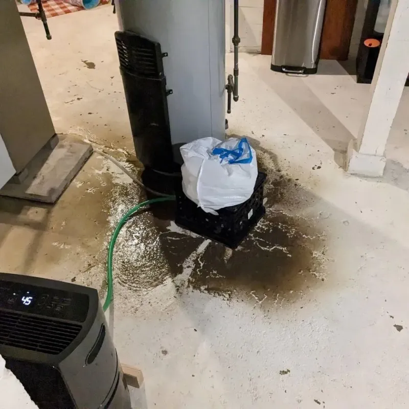 Sewage Backup Cleanup Service in Washburn, IL